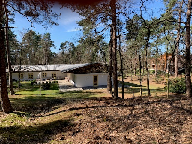 Bos bij de Kuilen.jpg